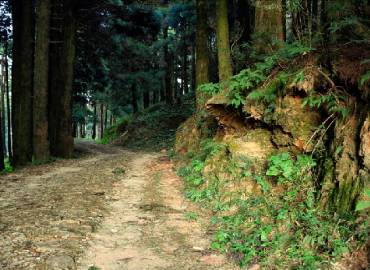 Nature Lover Homestay -Sittong Homestay